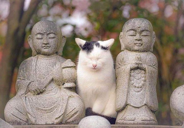 Informations pratiques