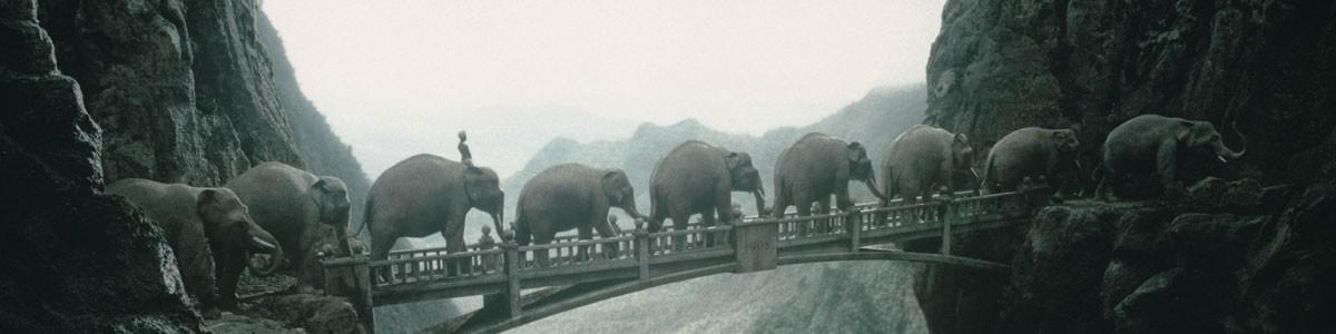 Réseautons nos neurones