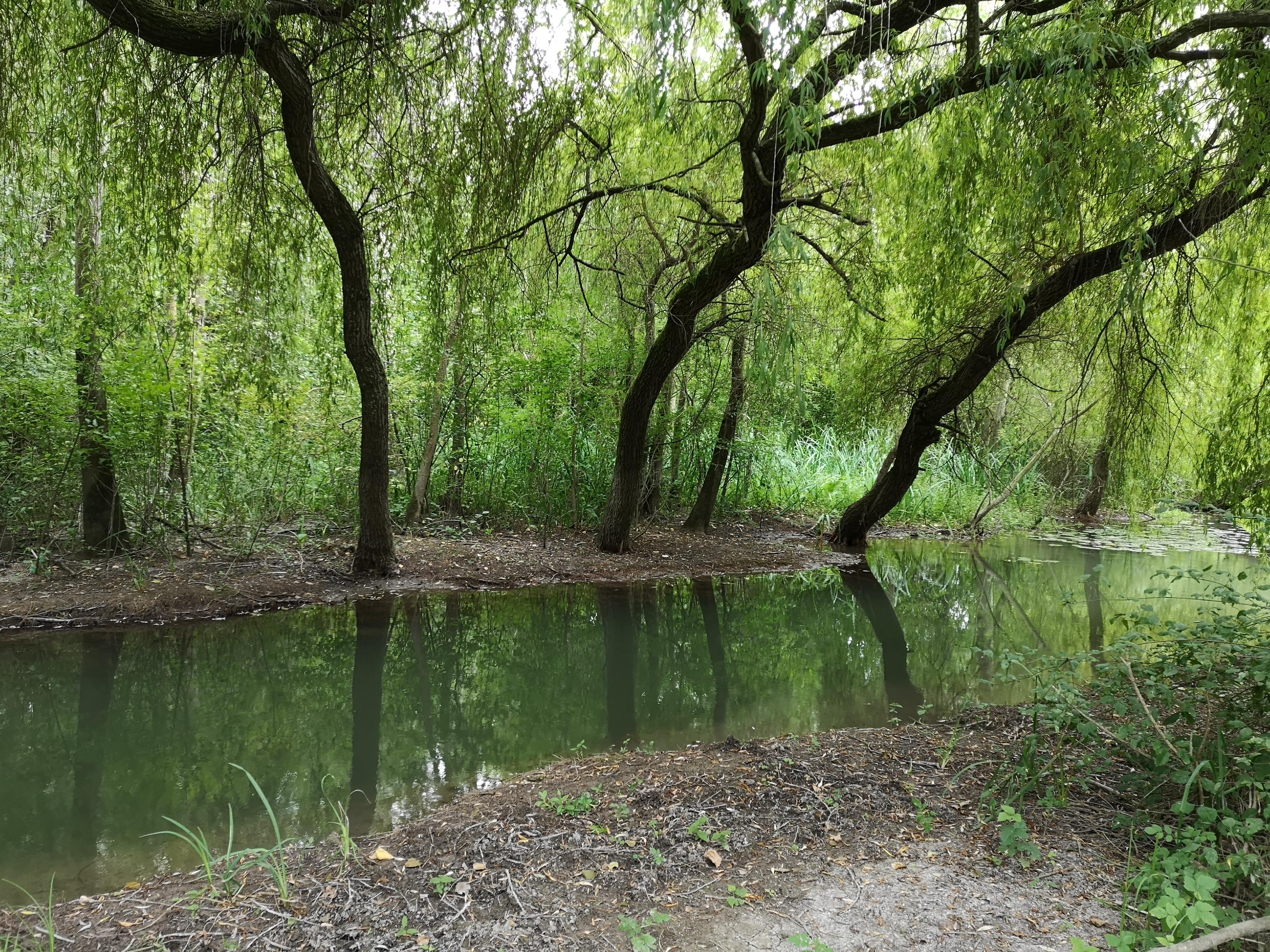 BéZed vous cause... et vous raconte des histoires