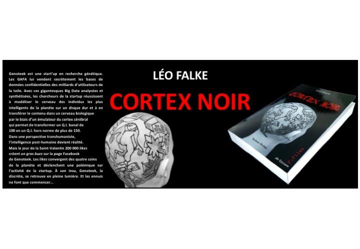 Cortex noir, Léo Falke