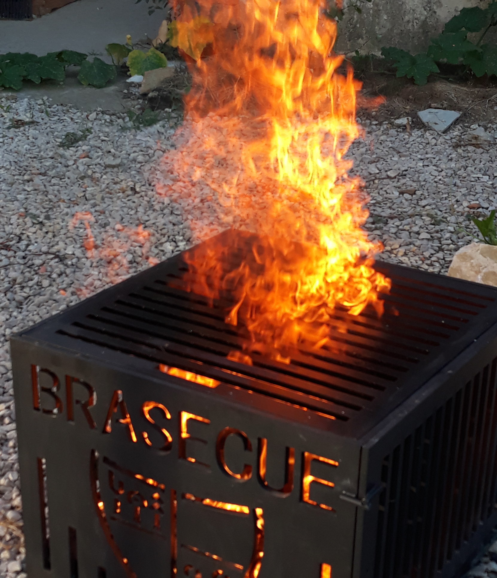 PENSÉES ET APHORISMES