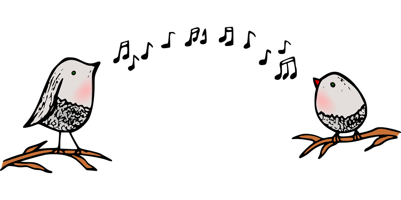 Partage de mes musiques lambda