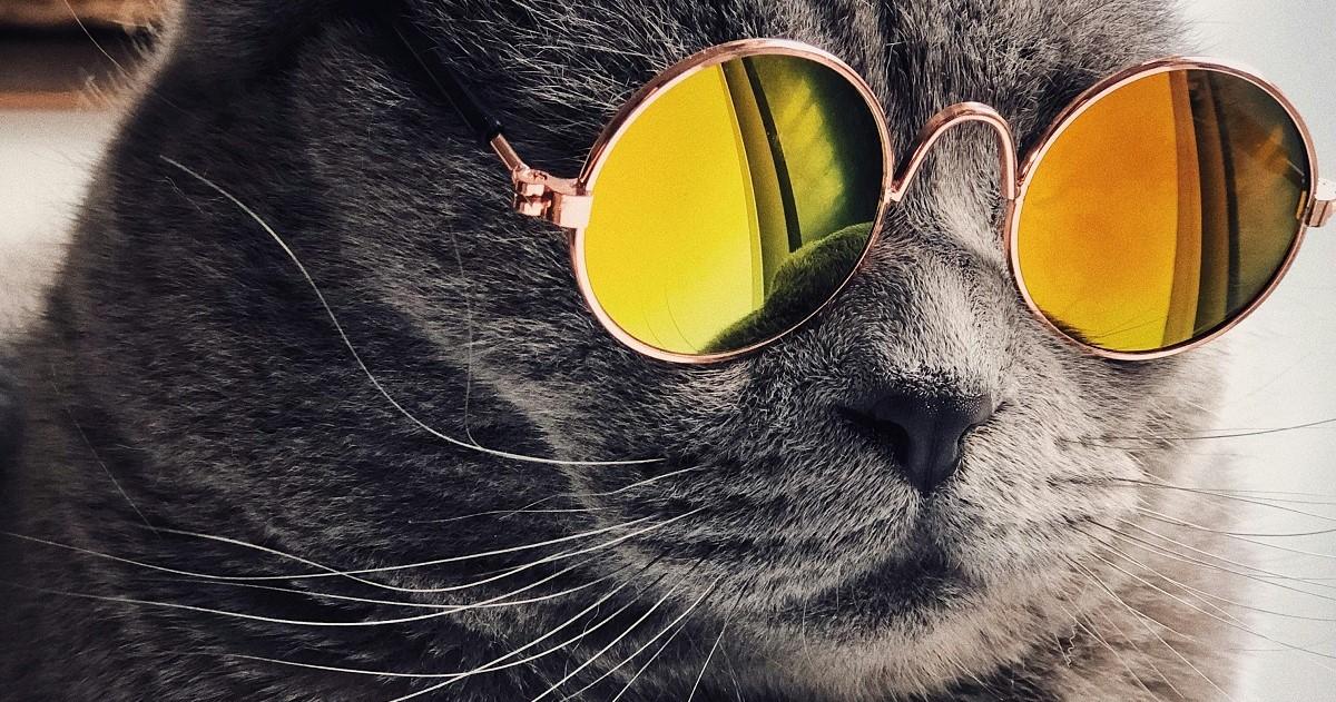 Henri le Boulanger (ou Une Dystopie en June)