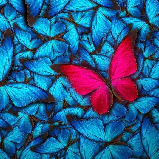 Prochain arrêt : la paix !