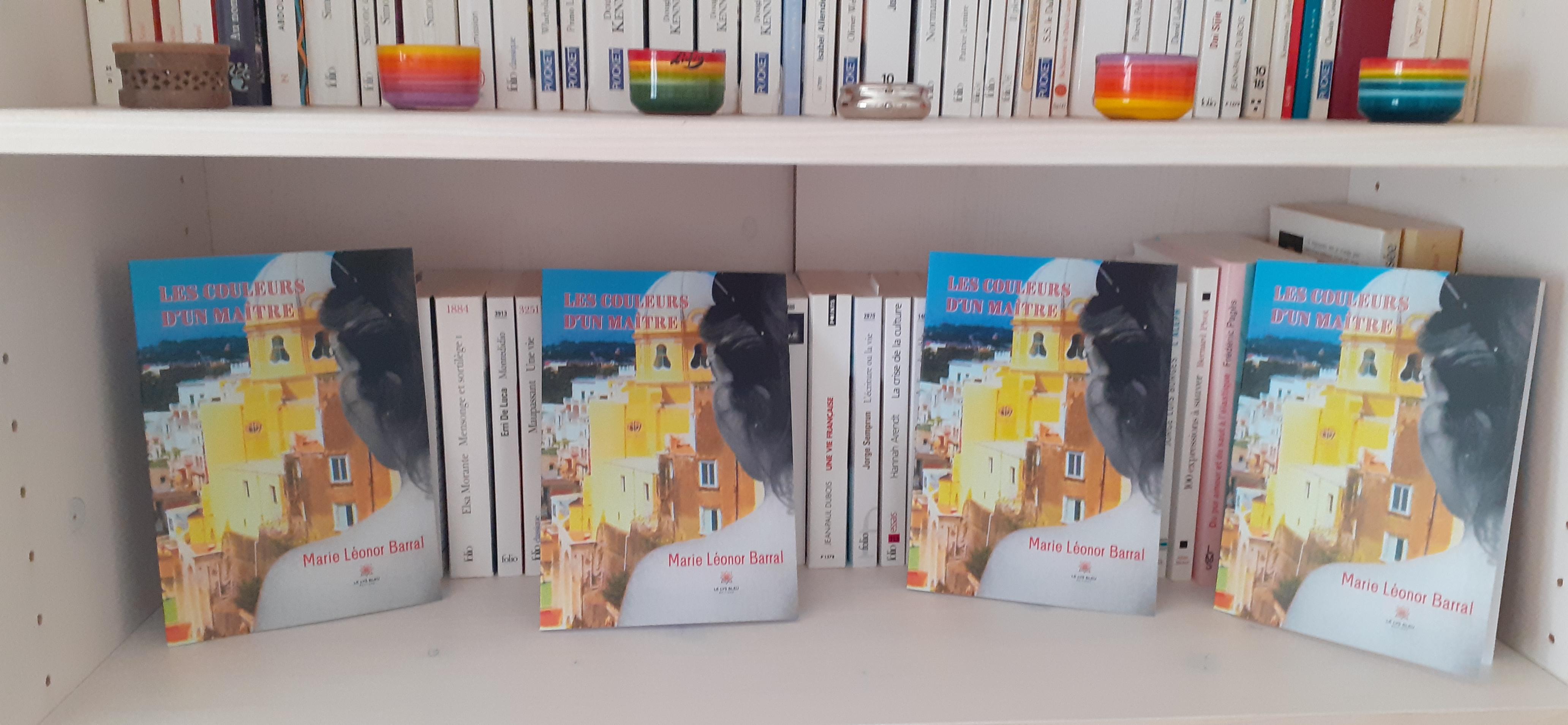 Roman Les couleurs d'un Maître