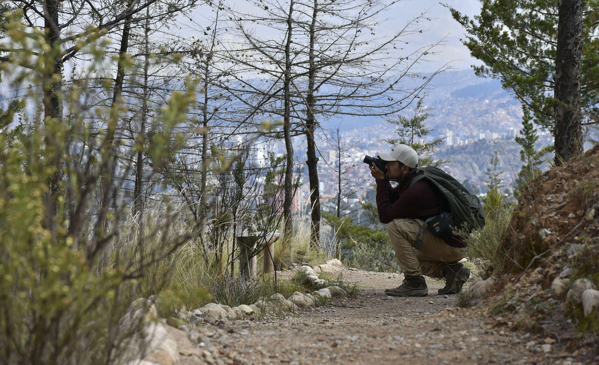 Un hombre toma fotografías de plantas en un recorrido por el bosquecillo de Auquisamaña, en mayo de 2023, en La Paz (Bolivia). EFE/Stringer