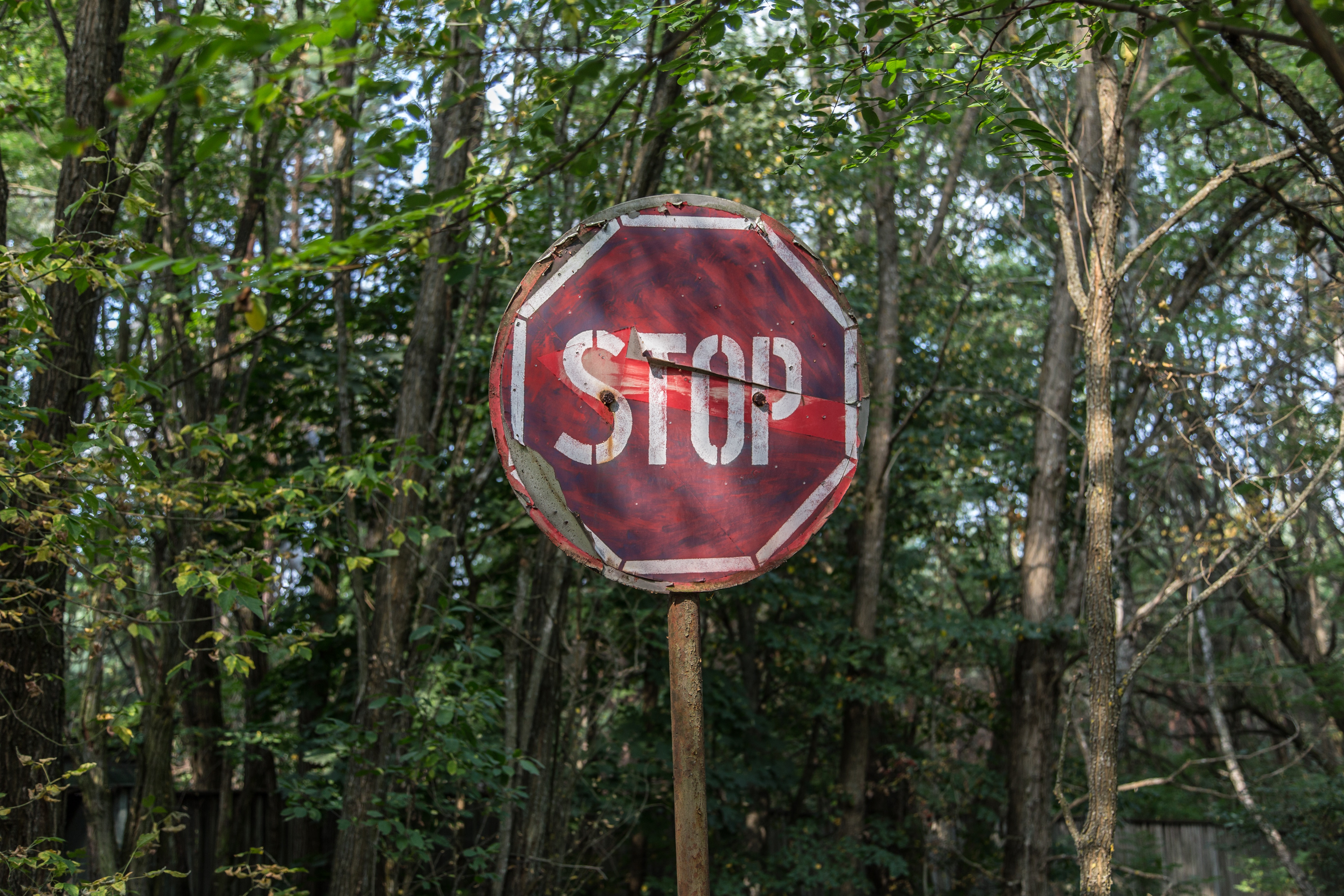 panneau "stop" devant de la végétation