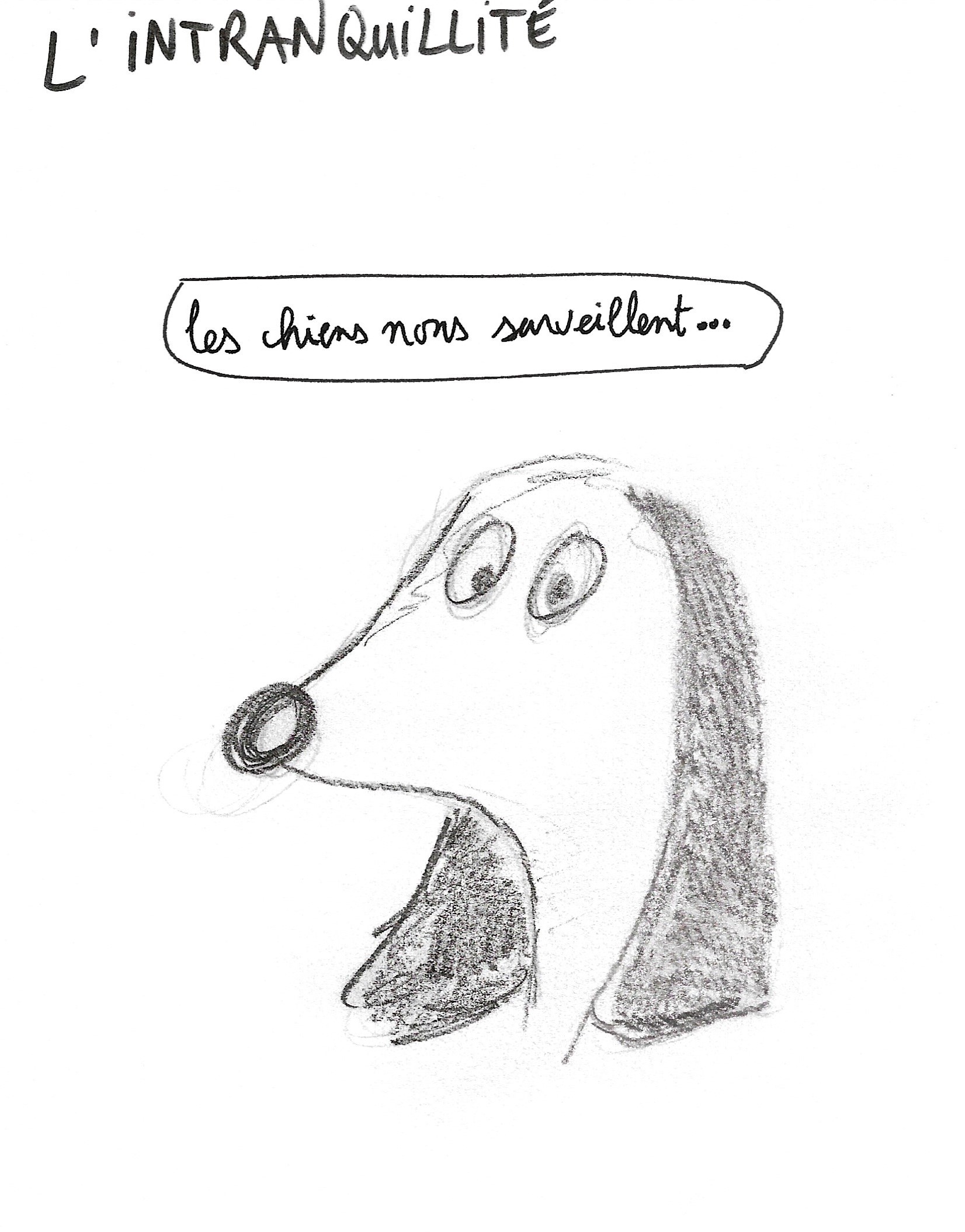 Projet chien