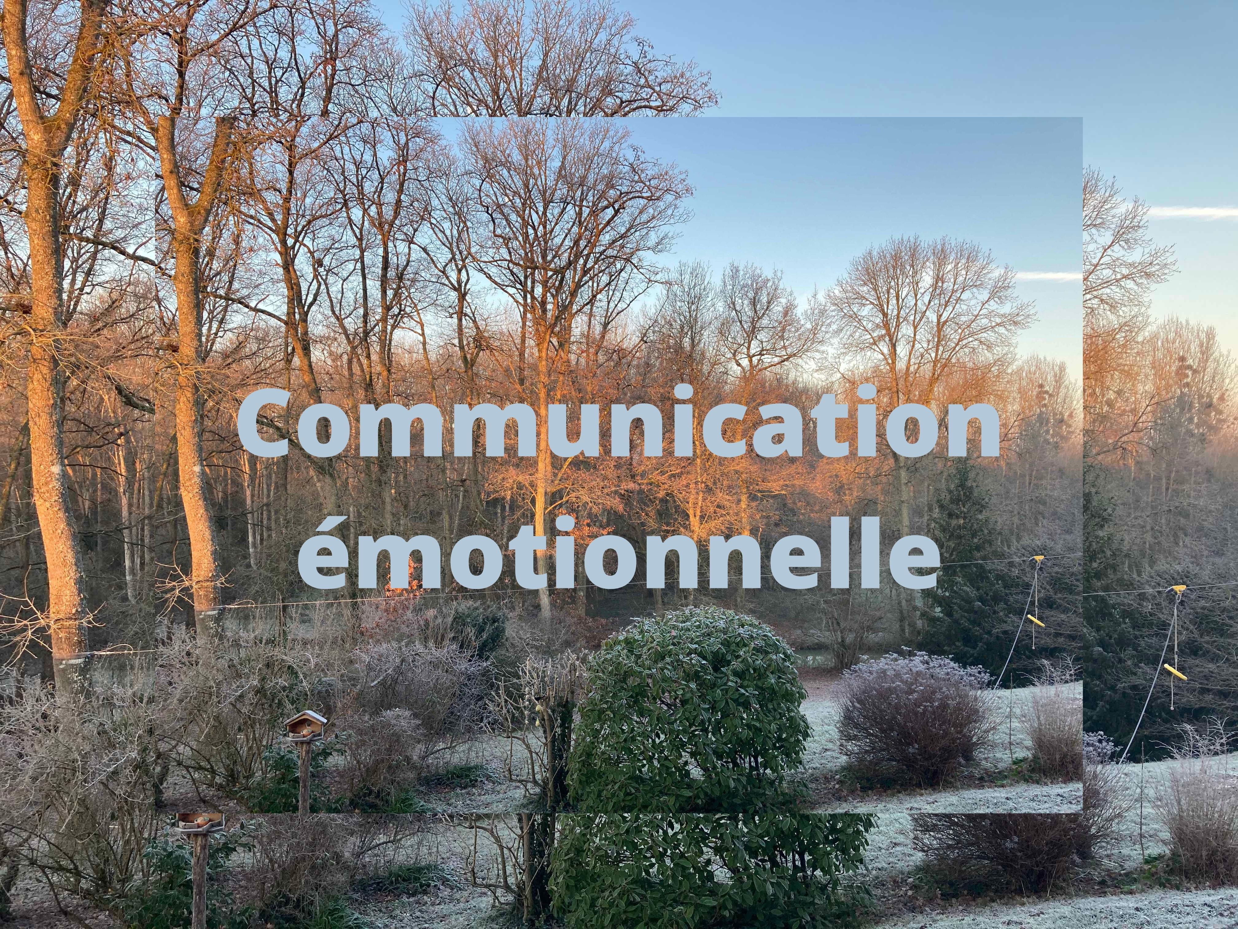 Communication émotionnelle, nature, connectivité