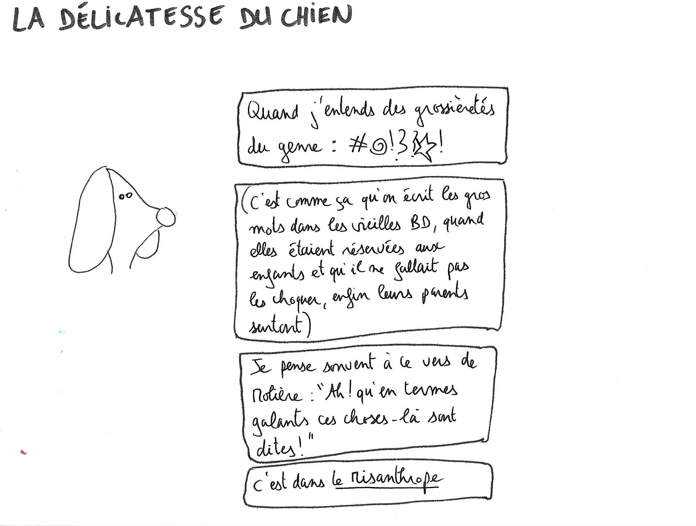 Projet chien