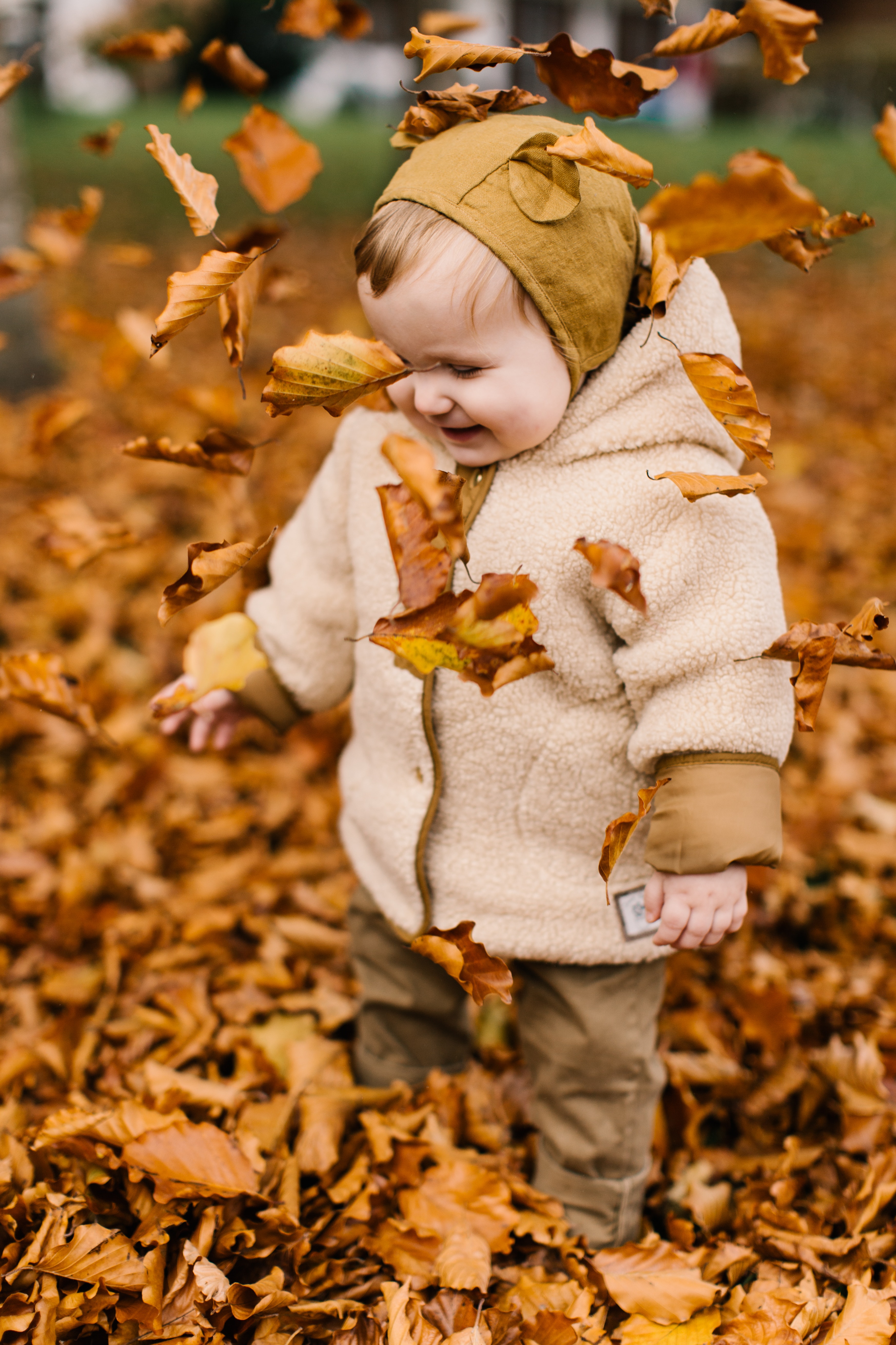 Un jeune enfant s'émerveillant des feuilles d'automne dans une forêt